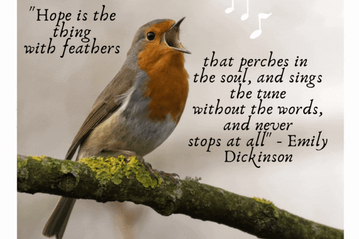 blog-image