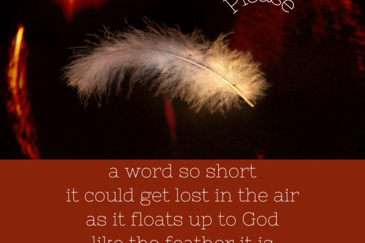 blog-image